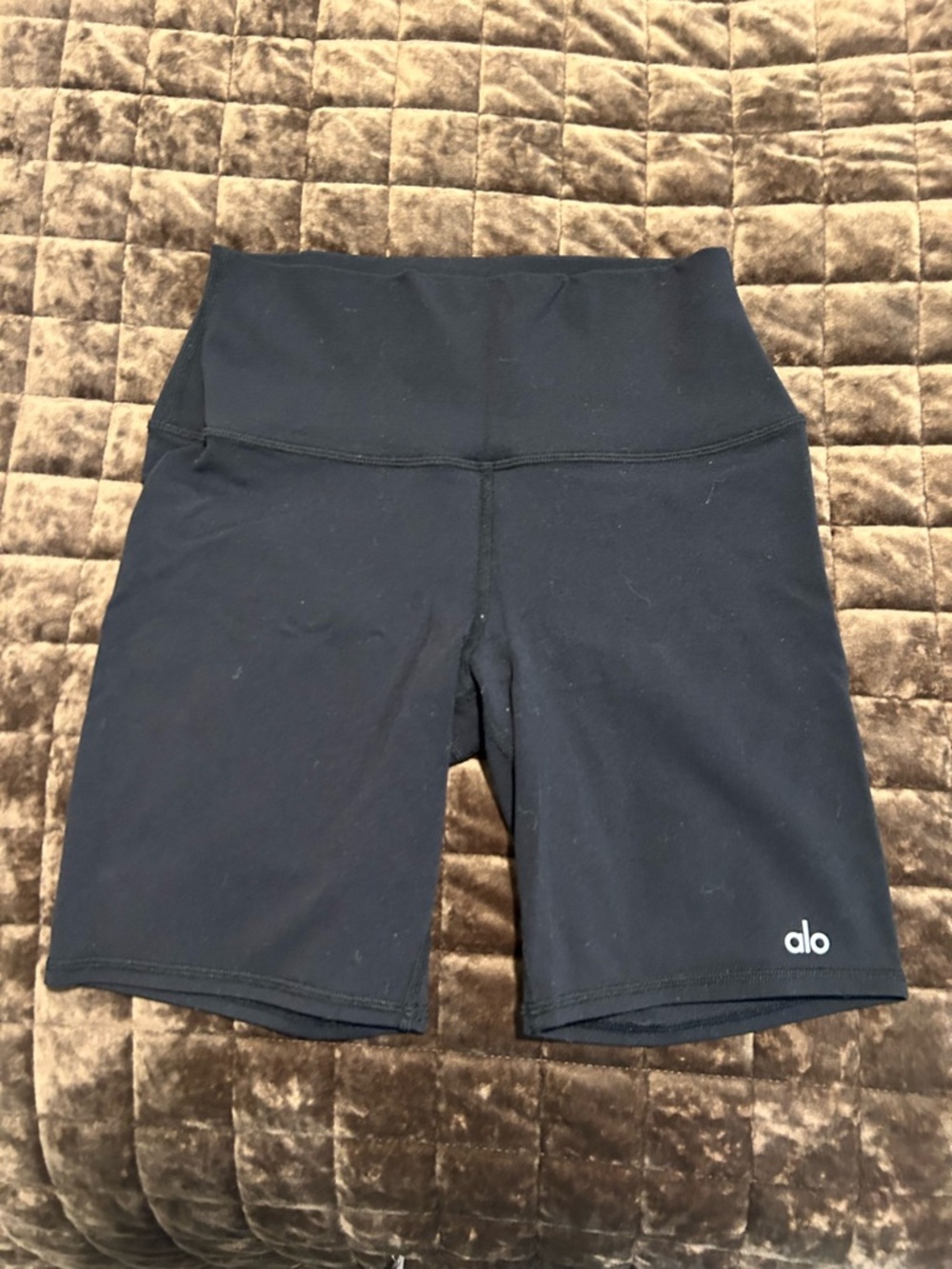 ALO Yoga Black High-Rise Bike Shorts